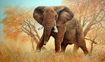 "Autumn Attitude - Elephant"