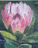 "One Protea"
