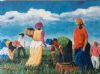 "Harvesting Xhosas"