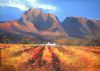 "Boschendal Vineyards"