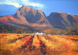 "Boschendal Vineyards"