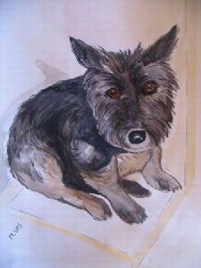"Fifi"