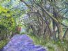 "Jacaranda Drive "