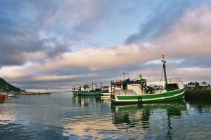 "Kalk Bay"