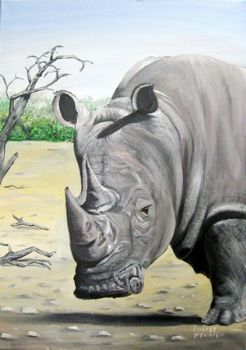 "White Rhino"