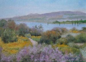 "Clanwilliam Dam 1"
