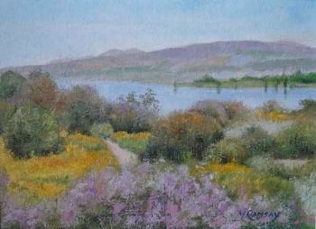 "Clanwilliam Dam 1"