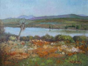 "Clanwilliam Dam 2"