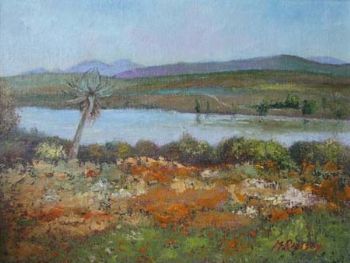 "Clanwilliam Dam 2"