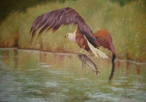 "Fish Eagle"