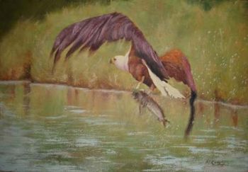 "Fish Eagle"