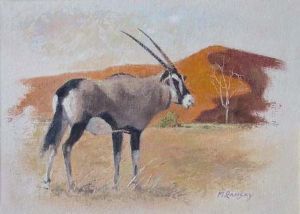 "Gemsbok"