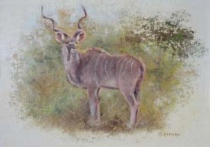 "Kudu"
