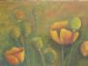 "Poppy field"