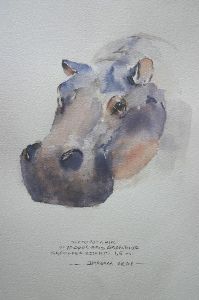 "Ill. Hippopotamus"