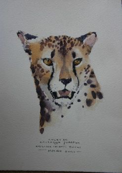 "Illustration Cheetah"