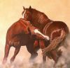 "Fighting Stallions 2"