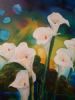 "Arum Lilies - Villiersdorp"