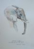 "Illustration Young Elephant 2"