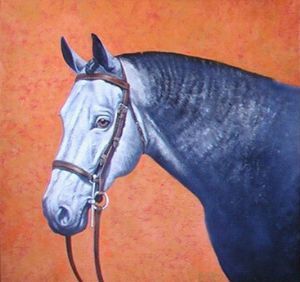 "Horse on Orange Background"