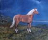 "Palomino Horse"