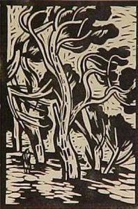 "Kaapse Wind"