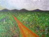 "Wildflowers"