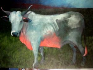 "Emhlope Ox"
