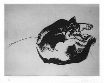 "Sleeping cat"