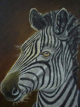 "Zebra"