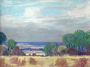 "Bushveld"