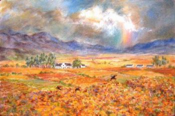 "Rainbow, Cape Winelands"
