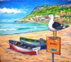 "Seagull at fishhoek"