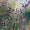 "Baobab Branches II"