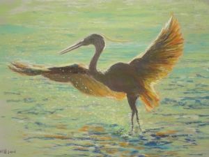 "On the Wings of an Egret"