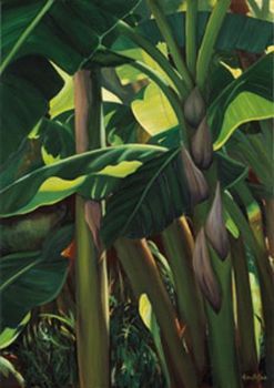 "Banana Trees"