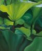 "Lotus Pond 2 of 3 Set"