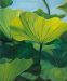 Lotus Pond 3 of 3 Set