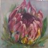 "Burst of Pink"