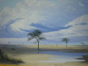 "Botswana Landscape - Nata"