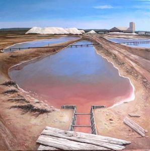 "Salt Pan at Coega, Port Elizabeth"