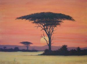 "Sunset Camelthorn"