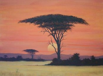 "Sunset Camelthorn"