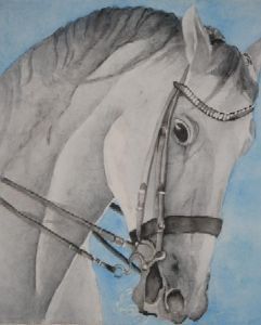 "Horse"