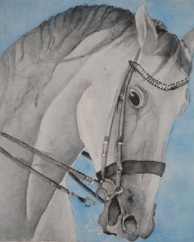 "Horse"