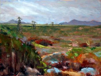 "Winter Fynbos July 2007"