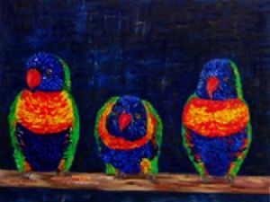 "Rainbow Lorikeets"