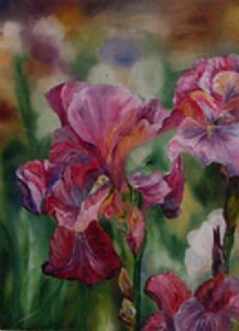 "Pink Iris"