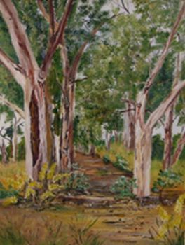 "Forest Pathway"