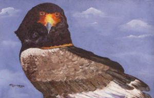 "Valeur Eagle"